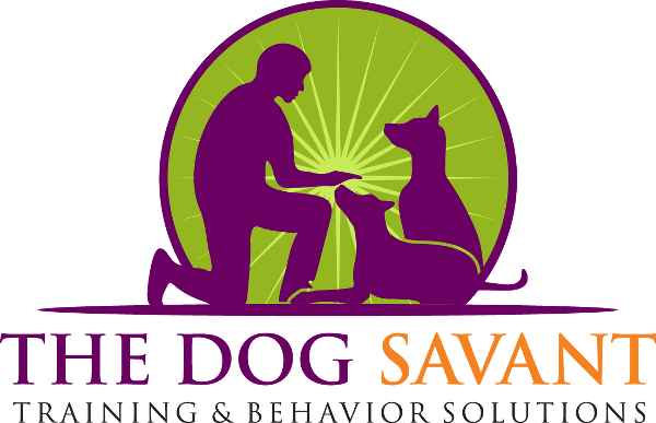 The Dog Savant in LADog Training & Behavior Solutions